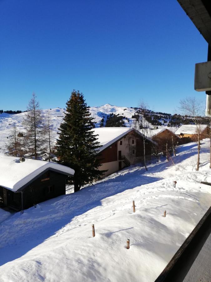 Holiday home Les Saisies ;loue A La Semaine Hauteluce